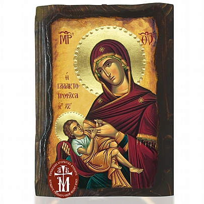 Ν306-45, Theotokos the Milk Breeder Mount Athos